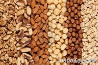 Brazil Nuts /pine Nuts/Macademia Nuts/WalNuts