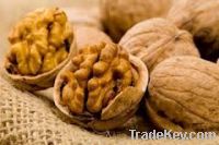 Walnuts & Walnuts in shell