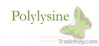 Polylysine