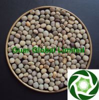 Sell Guar seed