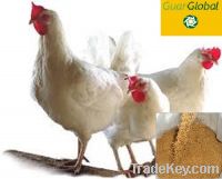 Sell Guar gum korma for poultry