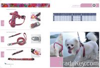 seek for a pet leash products importer or buyer