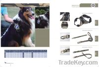seek for a pet leash products importer or buyer