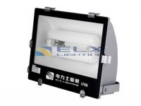 Induction Flood Light