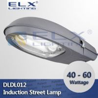 40W 60W Induction Street Lamp