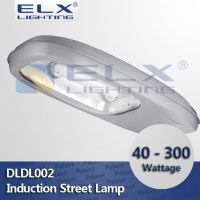 40W 60W 80W 100W 120W 150W 200W 250W 300W Induction Street Lamp(Fluorescent Light)