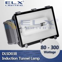 80W 100W 120W 150W 200W 250W 300W electrodeless induction tunnel lamp