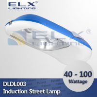 40W 60W 80W 100W Induction Street Lamp