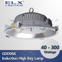 40W 60W 80W 100W 120W 150W 200W 250W 300W induction high bay lighting