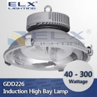 40W 60W 80W 100W 120W 150W 200W 250W 300W high bay induction lamps