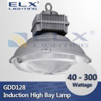 40W 60W 80W 100W 120W 150W 200W 250W 300W high bay induction lamp