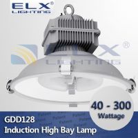 40W 60W 80W 100W 120W 150W 200W 250W 300w induction lamp high bay light