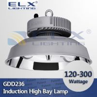 120W 150W 200W 250W 300w lamp high bay induction lighting