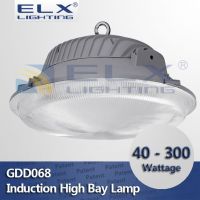 40W 60W 80W 100W 120W 150W 200W 250W 300w Induction high bay lamp