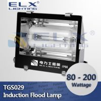 80W 100W 120W 150W 200W floodlight induction lamp