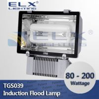 80W 100W 120W 150W 200W induction flood light