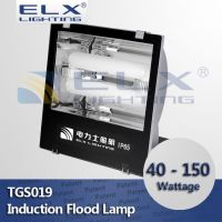 40W 60W 80W 100W 120W 150W ip65 induction flood lighting