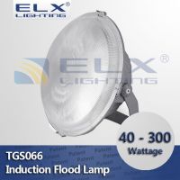 40W 60W 80W 100W 120W 150W 200W 250W 300W electrodeless induction flood light