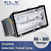 80W 100W 120W 150W 200W 250W 300W induction tunnel lights