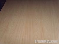 birch plywood 5mm-25mm/E1 E0 melamine grade birch plywood