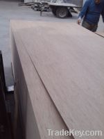 BB/CC Grade Bintangor Plywood for furniture usage