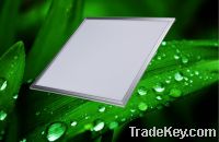 Sell 600x600x11MM 36W 2835SMD Led Panel Light