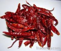 Dry Red Chilli