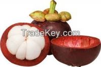 Fresh Mangosteen