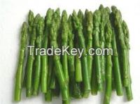 Fresh Asparagus