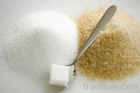 White & Brown Refined Sugar