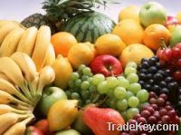 Fresh Apple Fruits & Vegetables