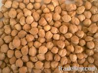 DESI CHICKPEAS