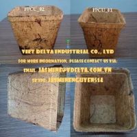 Biodegradable Flower Pots