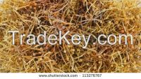 Dried Sargassum seaweed with high quality
