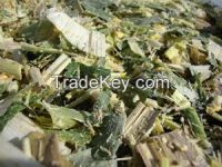 CORN SILAGE FROM VIET NAM WITH BEST PRICE.