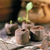 Asia Coconut Coir Pellets/ Peat Plant Pot Jiffy/ Coir Pith