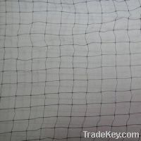 HDPE Anti-bird/-hail Net, Widely Used for Agriculture and Horticulture