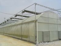 Sell Greenhouse Effect