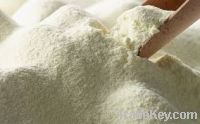 Skim Milk Powder