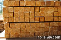 TEAK WOOD