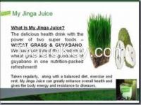 jinga juice (wheat grass and guyabano)