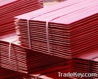 Supply Copper Cathode99.99%