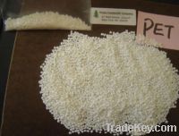 PET resin manufacturer, PET Granules