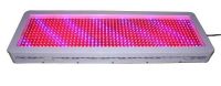 1000w Led Grow Light China Factory Products Selling Leads Plant Flower