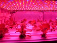 10w Led Grow Light China Factory Products Selling Leads Plant Flower Vegetable