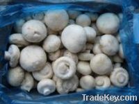Grade A Frozen Champignon Mushroom