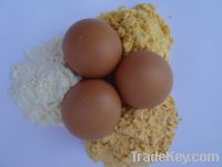 dried whole egg powder