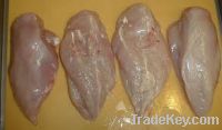 Frozen Boneless Halal Chicken Breast