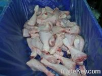 EU HALAL Poultry - Frozen Chicken Drumstick