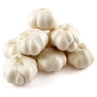fresh garlics
